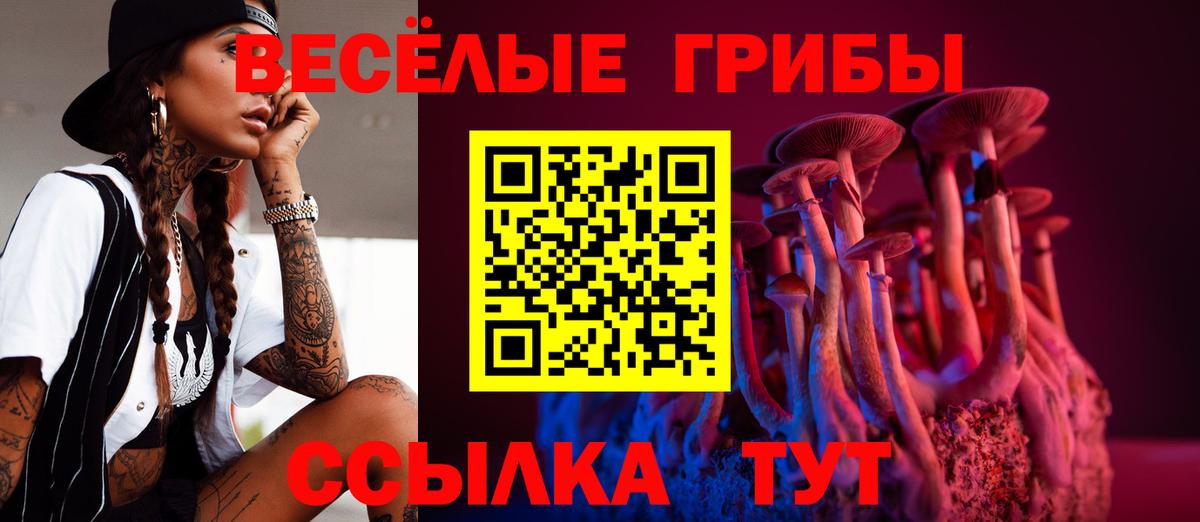 Псилоцибиновые грибы Psilocybe  Вход с VPN  Заводоуковск  Псилоцибиновые грибы ЛСД 